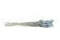 Lagurus Ovatus essiccato Storm Blue 6
