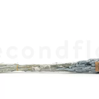 Dried Lagurus Ovatus Storm Blue