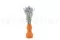 Getrockneter Lagurus Ovatus Storm Blue 2