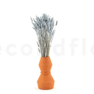Lagurus Ovatus seco Storm Blue