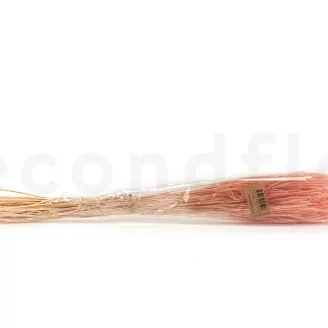 Dried Ouro Pink Flamingo