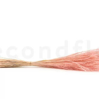 Ouro seco Pink Flamingo