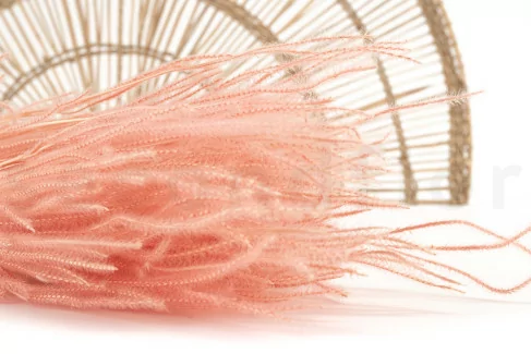 Getrockneter Ouro Pink Flamingo