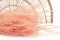 Getrockneter Ouro Pink Flamingo 1