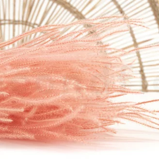 Ouro seco Pink Flamingo