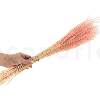 Dried Ouro Pink Flamingo