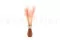 Dried Ouro Pink Flamingo 2