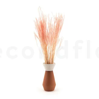 Getrockneter Ouro Pink Flamingo