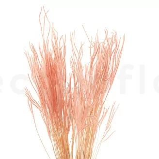 Ouro seco Pink Flamingo