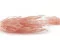 Getrockneter Ouro Pink Flamingo 6