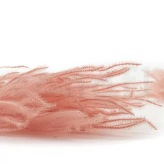 Ouro seco Pink Flamingo