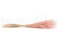Dried Fine grass Pink Flamingo 6