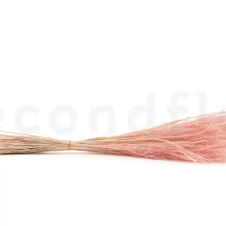 Fine grass seco Pink Flamingo