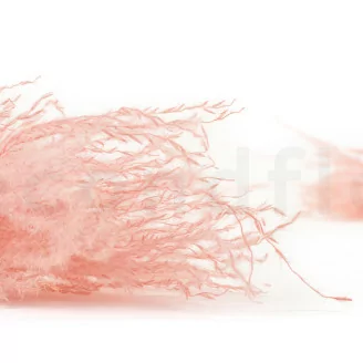 Dried Fine grass Pink Flamingo