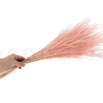 Fine grass seco Pink Flamingo