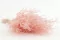 Fine grass essiccata Pink Flamingo 5