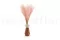 Fine grass essiccata Pink Flamingo 2