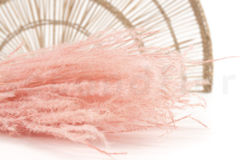 Fine grass s&eacute;ch&eacute;e - Bouquet - Pink Flamingo