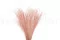 Fine grass seco Pink Flamingo 8