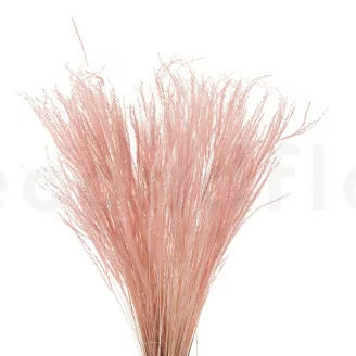 Fine Grass s&eacute;ch&eacute; Pink Flamingo