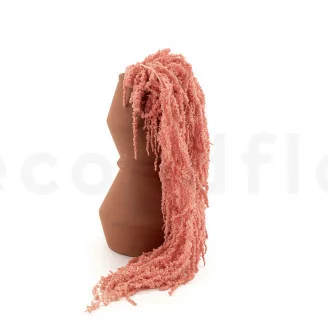 Konservierter Amaranth Pink Flamingo