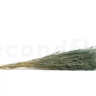 Caspia stabilizzata Storm Blue