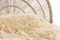 Preserved Amaranthus Meringue 1