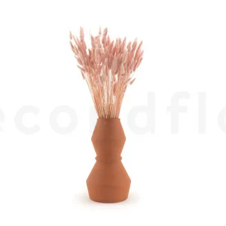 Lagurus s&eacute;ch&eacute; Pink Flamingo