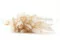 Dried Lagurus Ovatus Meringue 6