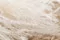 Dried Fine grass Meringue 4