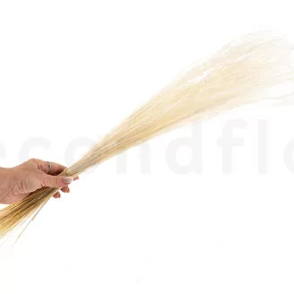 Dried Fine grass Meringue