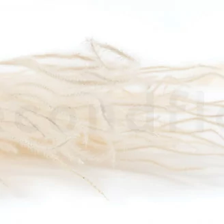Dried Ouro Meringue