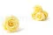 Rosa preservada XL Amarillo Pastel (x6) 1