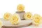 Rose stabilis&eacute;e XL Jaune Pastel (x6) 6