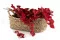 Preserved Stuartiana Eucalyptus Red 4