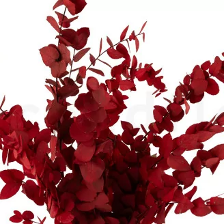 Konservierter Stuartiana-Eukalyptus Rot