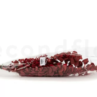 Preserved Stuartiana Eucalyptus Red