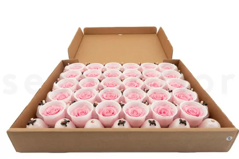 Rosa preservada Kiara XL - Granel 72 unidades - Bridal Pink