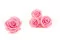 Konservierte Rose XL Bridal Pink - Gro&szlig;packung (x72) 5