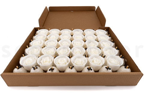 Rose stabilisée Kiara XL - Vrac 72 unités - Pure White