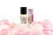 Parfum pour Fleurs &Eacute;ternelles - La Rose 4