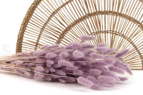 Lagurus Ovatus s&eacute;ch&eacute; - Bouquet - Lavender Lane