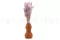 Getrockneter Lagurus Ovatus Lavender Lane 2