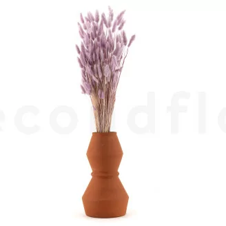 Dried Lagurus Ovatus Lavender Lane