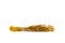 Getrockneter Lagurus Ovatus Honey Yellow 9