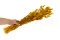 Getrockneter Lagurus Ovatus Honey Yellow 4