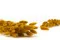 Dried Lagurus Ovatus Honey Yellow 8