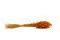 Dried Lagurus Ovatus Marmalade 5