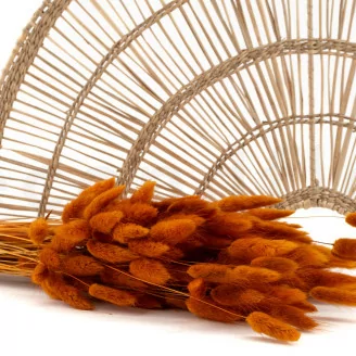 Dried Lagurus Ovatus Marmalade