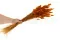 Getrockneter Lagurus Ovatus Marmalade 4